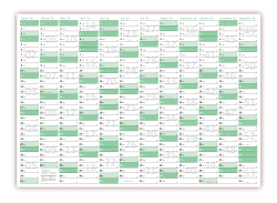 Wandkalender DIN A3 2026 Grn - gerollt