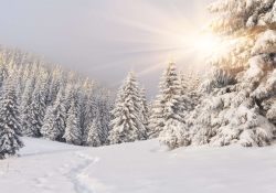 Poster (F220) Winterlandschaft